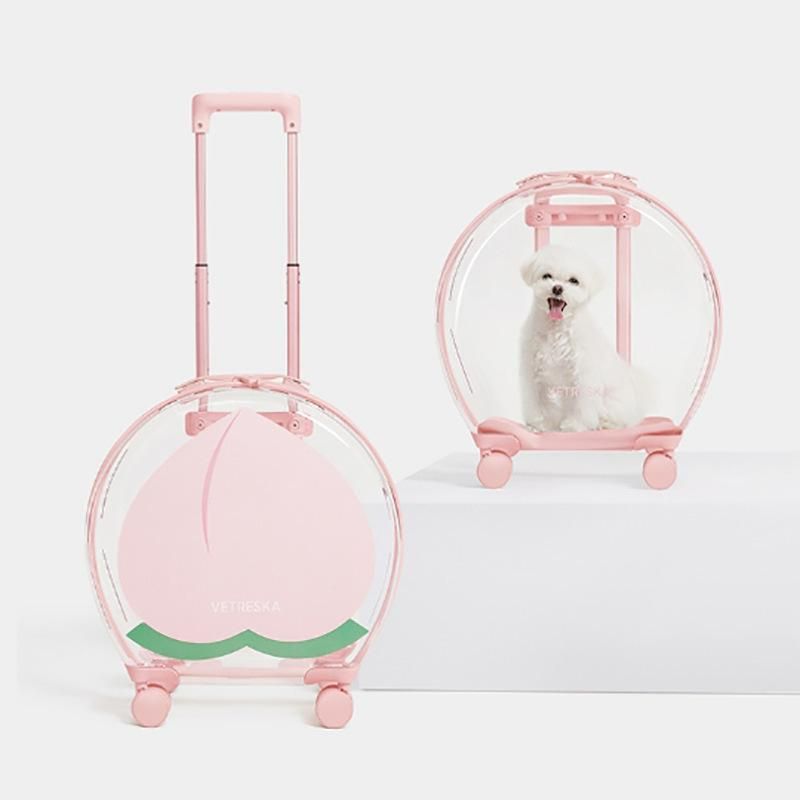 Transport Cat Dog Cage Maintenance Pet Carriers