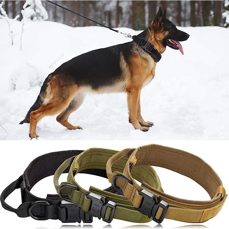 Wholesale High Quality Large Dog Collar