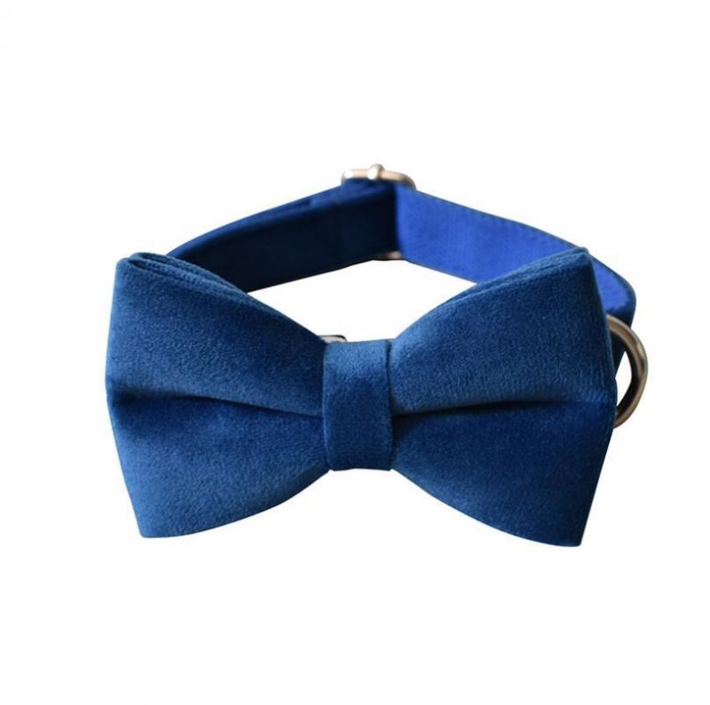 Velvet Fabric Made Dog Collar Leash and Bow Tie with Fast Delivery
