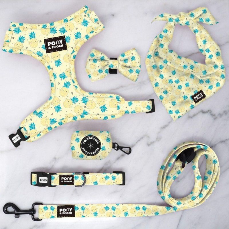 Pet Accessories Fashion Colorful Luxury Collar Leash Harnewss Set Metal Buckle