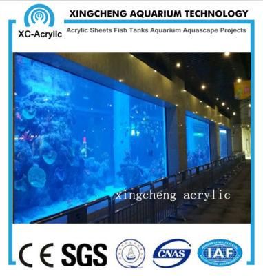 Transparent Big Viewing Acrylic Panel Aquarium