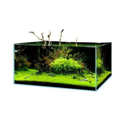 Yee Small Aquarium Mini Fish Tank Glass Fish Tank Desktop Landscaping