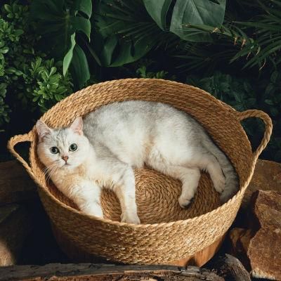 New Arrival Customer Oriented Basket Breathable Summer Outdoor Bed Cat Nest Round