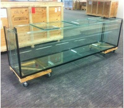 Chinese Manufacturer of Large Glass Fish Farming Tank for Hotel Shopping Mall