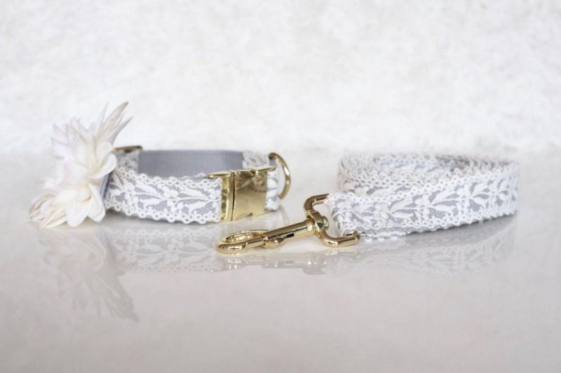 Designer Fashion White Flower Lace Big Lady Cute Metal Dog Collar