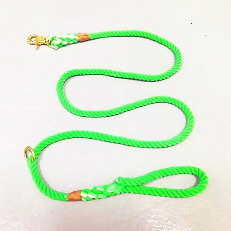 Hunting Dog Collar Leash with Waste Bag Dog Poop Holder