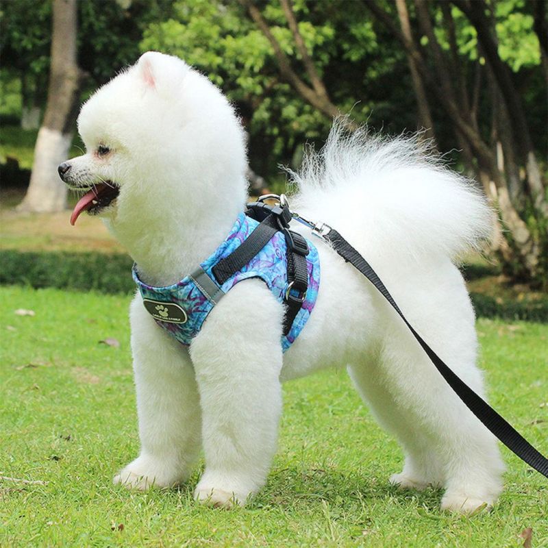 Beautiful Ocean Reduce Pressure Pet Harness with Leash for Dog Cat