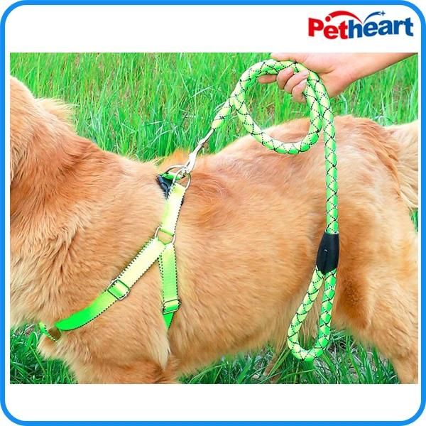 Factory Price Pet Puppy Dog Nylon Pet Collar (HP-107)