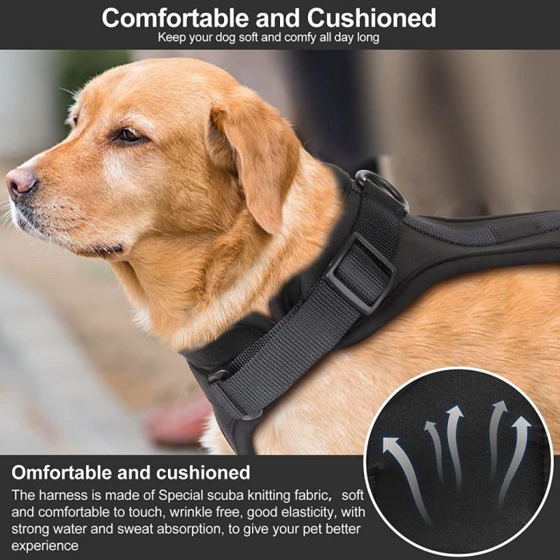 Comfortable and Cushioned No Pull Dog Harness with Fashionable Colors