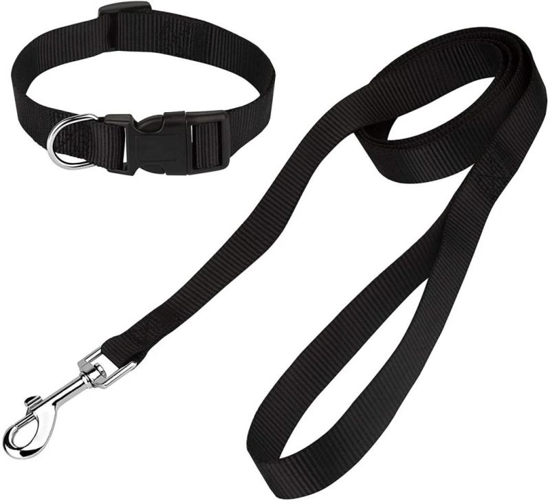 Basic Dog Collar and Leash Set with Fast Delivery