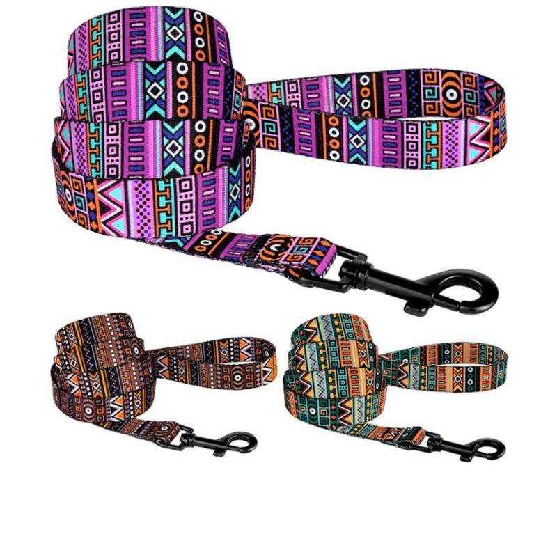 Rainbow Color Polyester Pet Leash and Lead Products