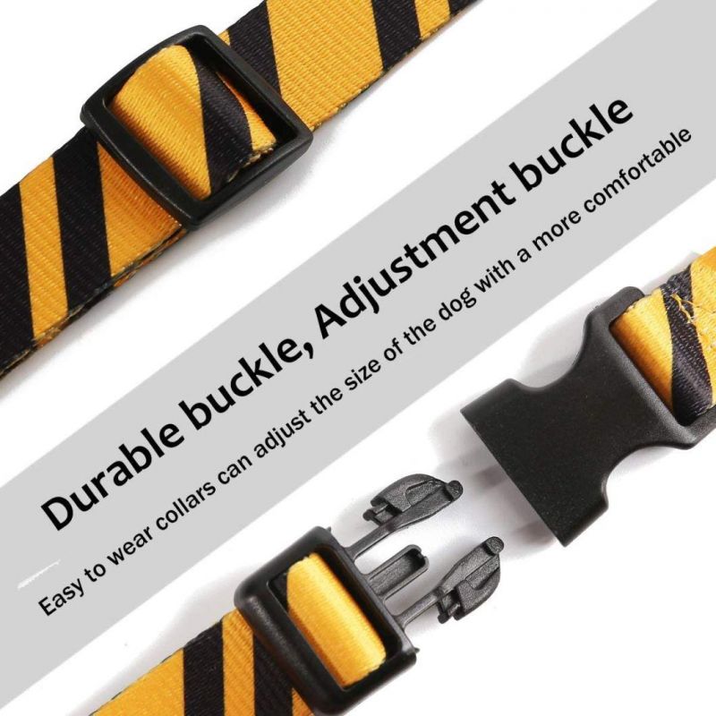 Nylon Fabric with High Density Webbing Halloween Dog Collar