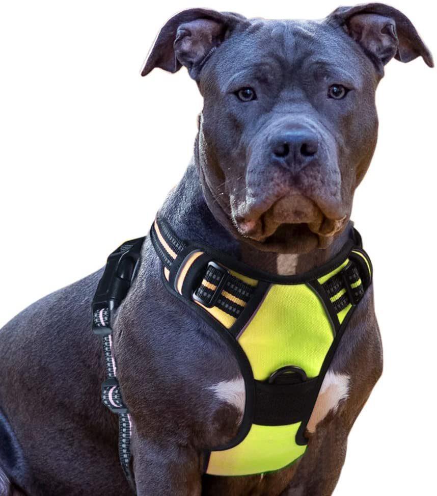 Dog Harness No Pull Walking Pet Harness with 2 Metal Rings and Handle