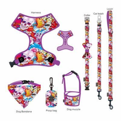 High Quality Comfort Mesh 6 in 1 Reversible Dog Harness with Matching Dog Collar Leash Set