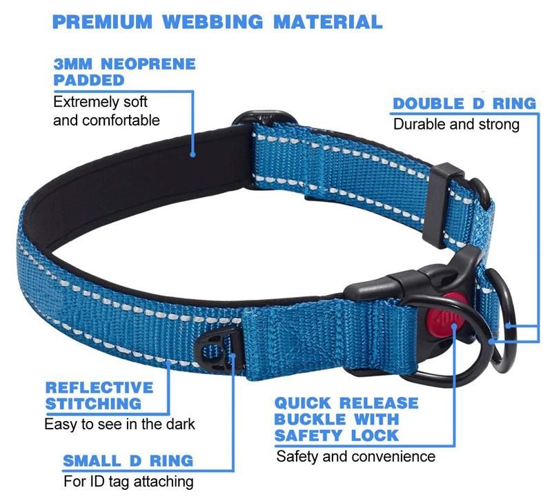 Neoprene Padded Comfortable Reflective Adjustable Nylon Dog Collar and Leash