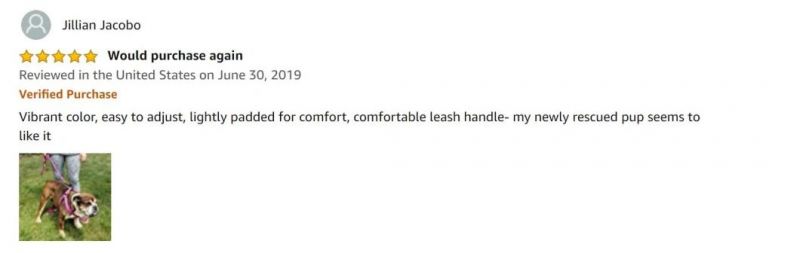 Safe and Comfortable Basic Classic Dog Harness