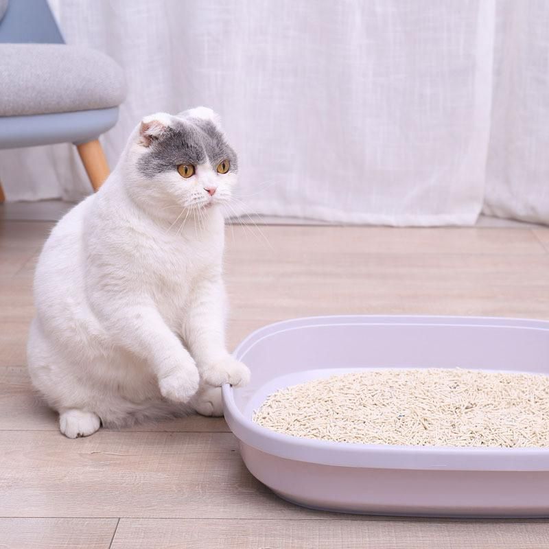 Bulk Clumping 2.0 3.0 mm Corn Tofu Cat Litter