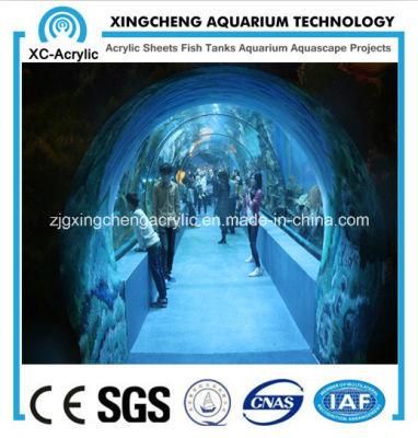 Customized Acrylic Tunnel