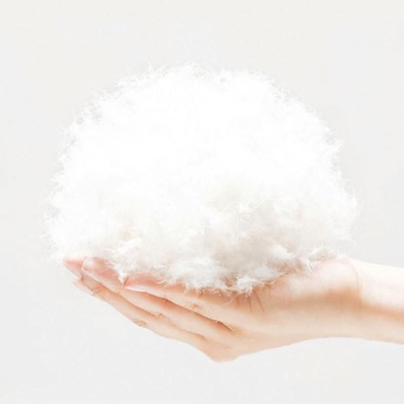 High Quality Cat Bed New Design Soft Small Bed Washable Round Pet Bed with Removable Cover