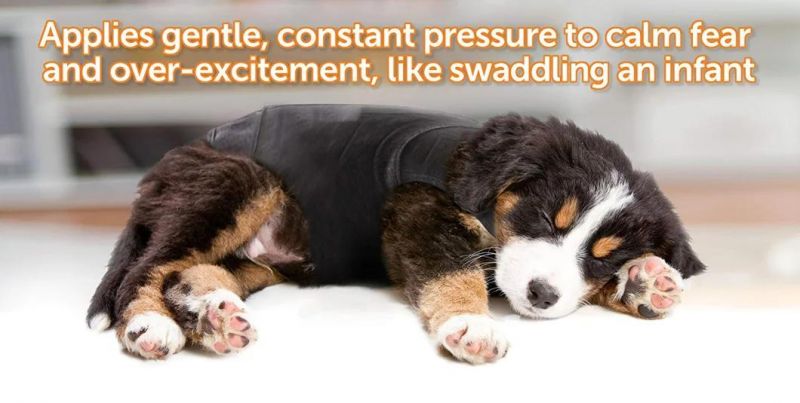 Comfortable Fit Dog Apparel Dog Fleece with Pressure Wrap Design