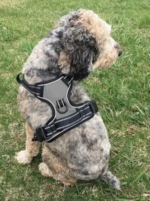 Fantastic All Day Comfort Quick-Dry &amp; Soft Mesh Padding Dog Harness Reflective Stitching Line for Night Use