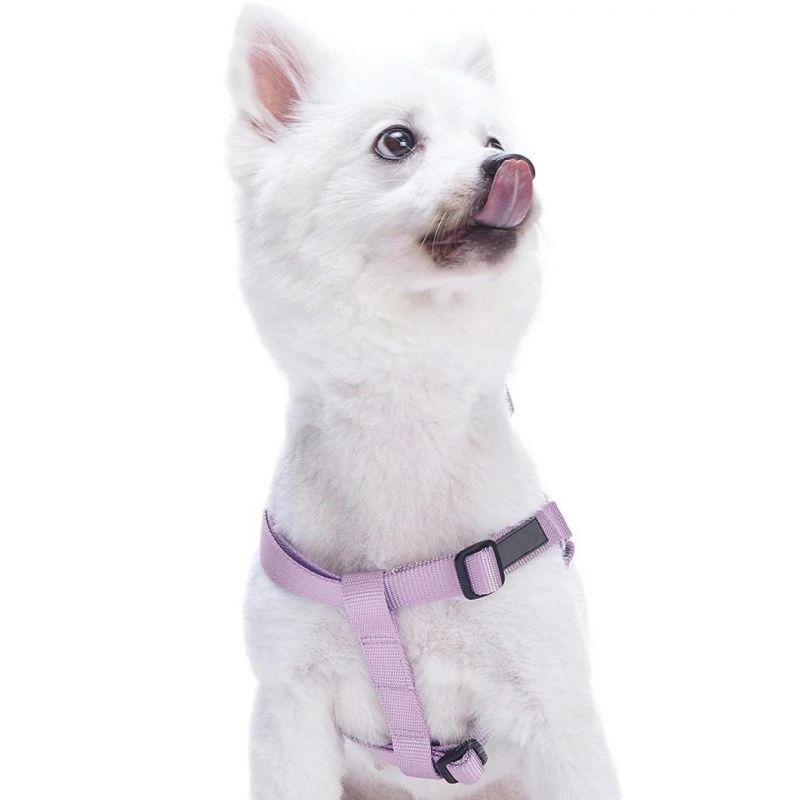 19 Colors Nylon Pet Products New Style Safety Dog/Pet Harness and Lead for Small and Medium Dog