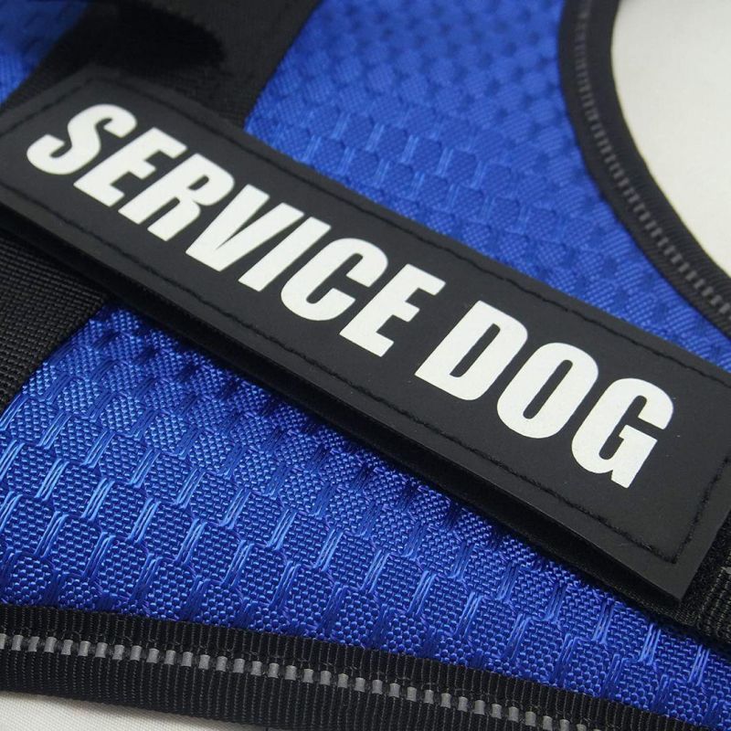 Spupps Blue Color Non-Pull Dog Harness with Soft and Breathable Padding Medium Size