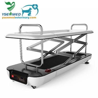 Ysvet-TM603 Medical Equipment Pet Treadmill Dogs Treadmill Machine