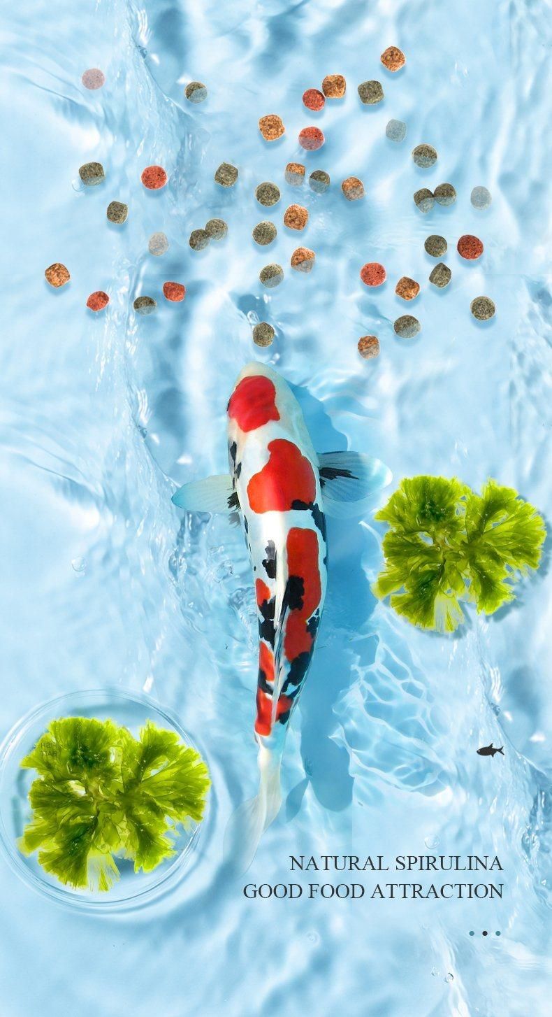 Yee Koi Eat Fish Food Small Particles General Purpose Color Increasing Non Muddy Water