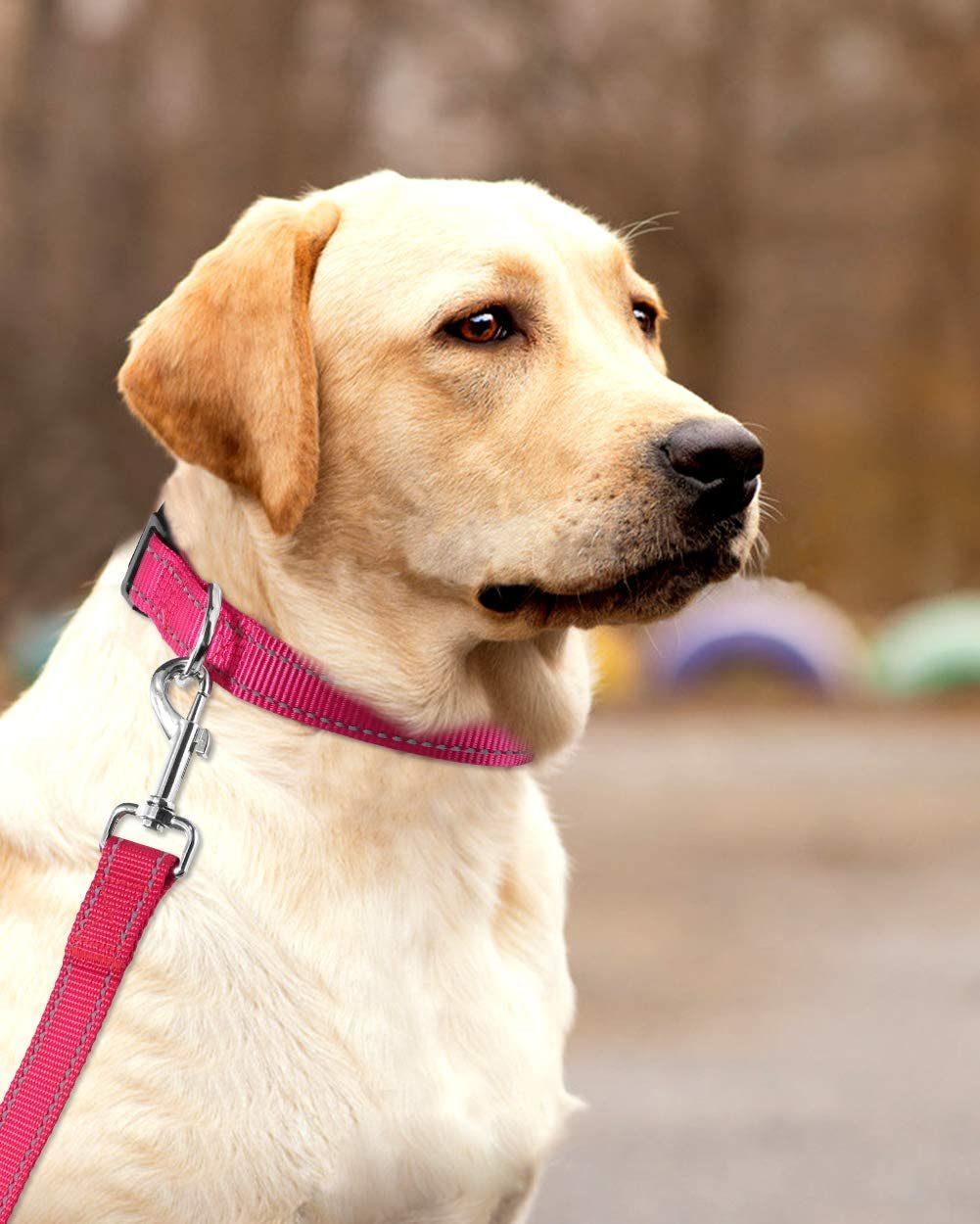 Sturdy Classic Reflective Nylon Dog Collar