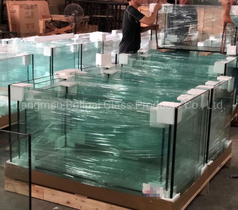 Custom Ultra Clear Glass Fish Tank with Fold Glass Lids