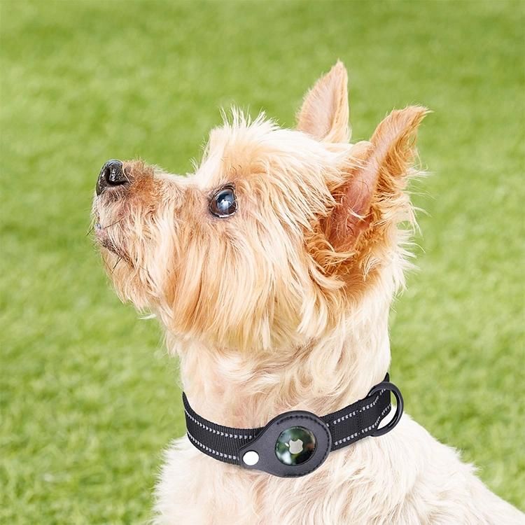 Pet Positioning Training Collar Nylon Dog Collar