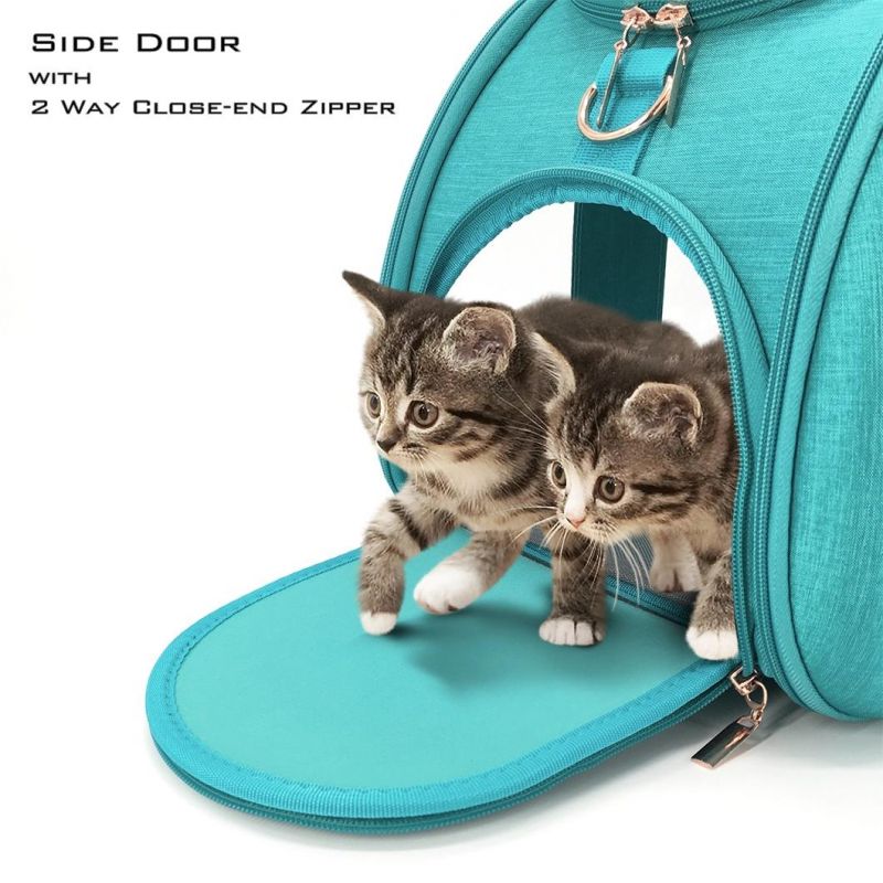 Luxury Wholesale Transparent Breathable Fashionable Cat Dog Pet Bag