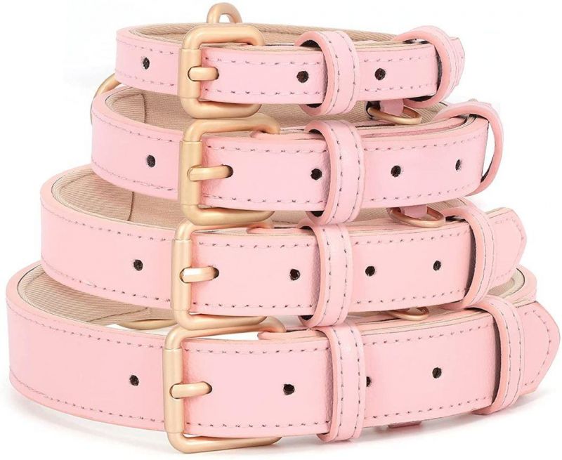 Adjustable Soft Breathable Leather Padded Puppy Collar with Alloy Buckle