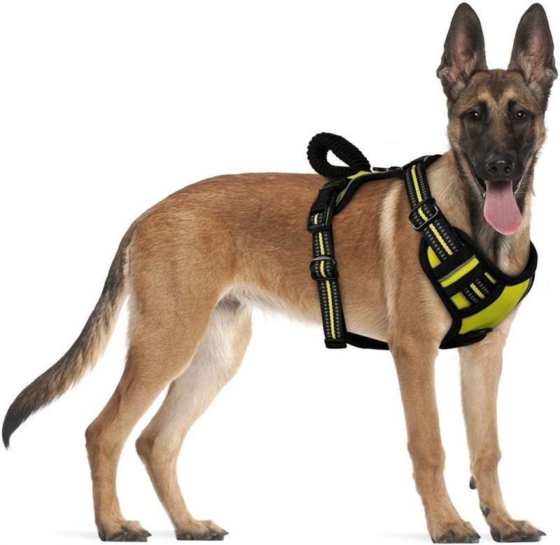 No-Pull Dog Vest Harness Green Large Size and Black 5 FT Leash