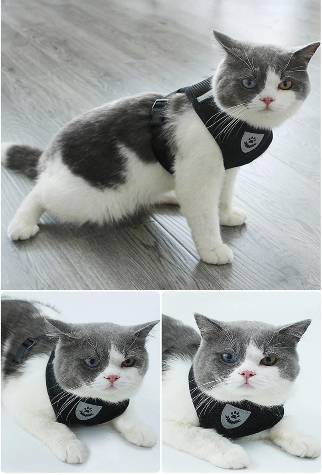 Mesh Pet Harness with Leash Set No Choke Design Ventilation