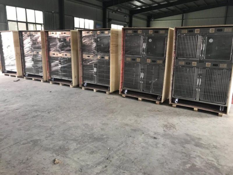 Stainless Steel Multiple Dog Cage Bank Veterinary Cat Cages for Pet Hospital