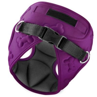 Lightweight Comfort Control Escape-Proof Dog Harness