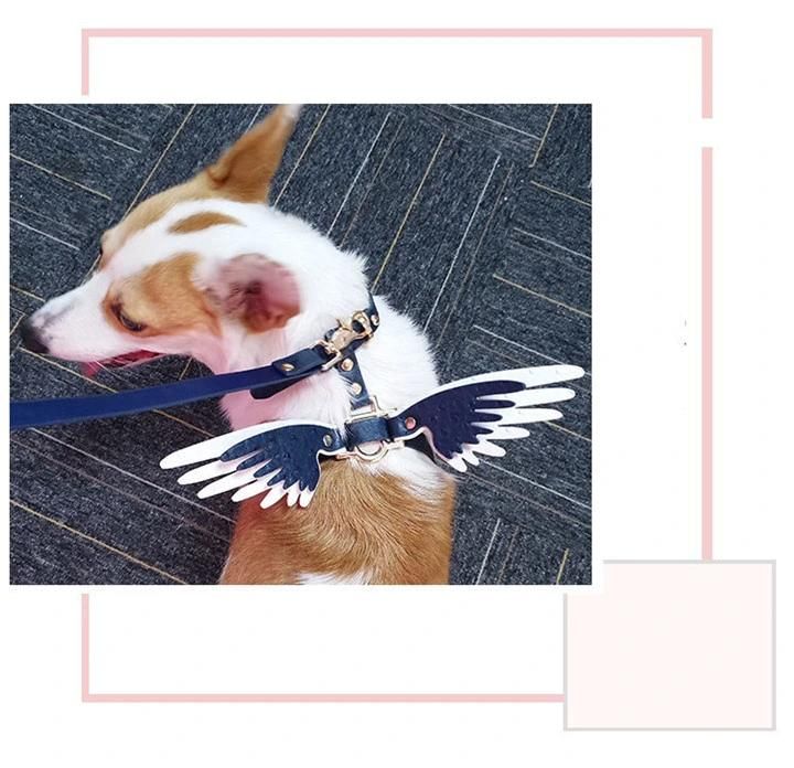 Ea080 Wings Cute Waterproof Luxury Designer Dog Collars & Leashes Set Accessories Trendy Puppy Logo Custom Leather High End Luxury Pet Collar and Leash