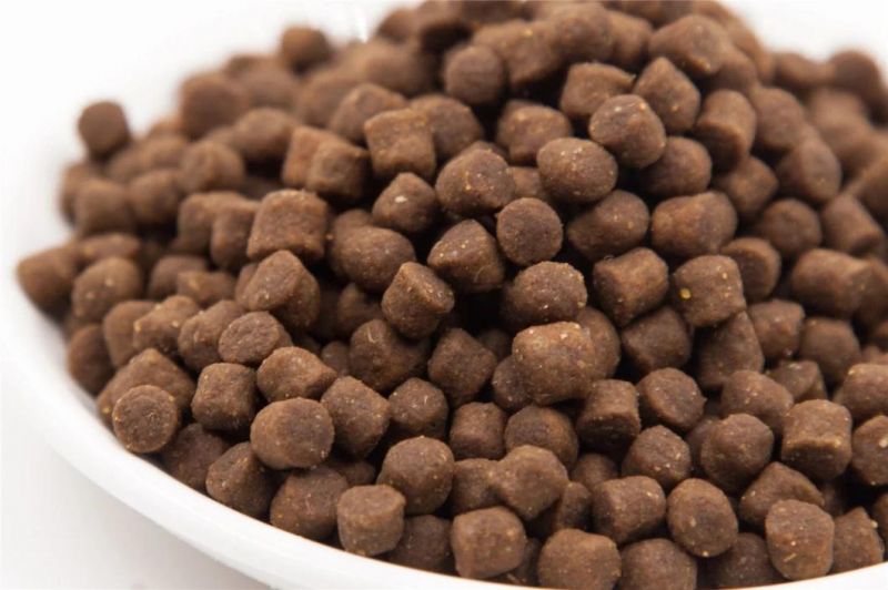 Wholesale Protein Rich Puppy Dry Food Easy to Digest