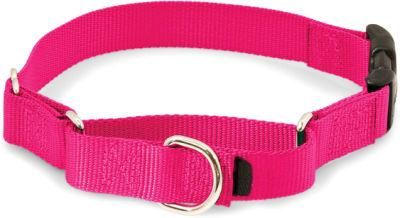 High Quality Martingale Dog Collar with Quick Snap Buckle