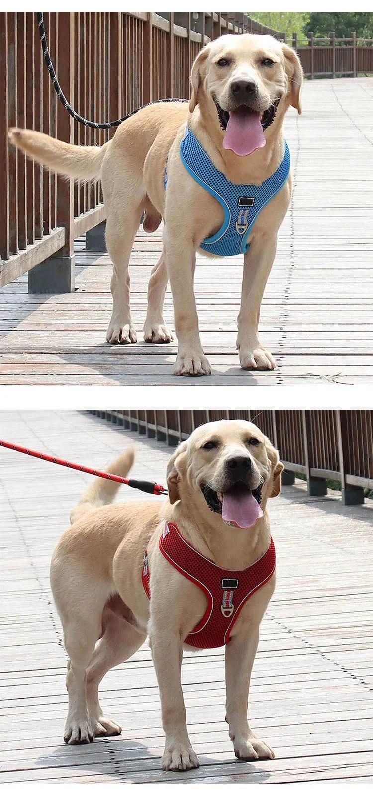 Baby Blue Reflective Reversible Adjustable Nontoxic Dog Harness