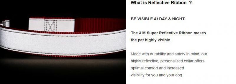 Low MOQ Dog Accessories Pet Collars Newest Luxury Reflective Dog Collar and Leash Set