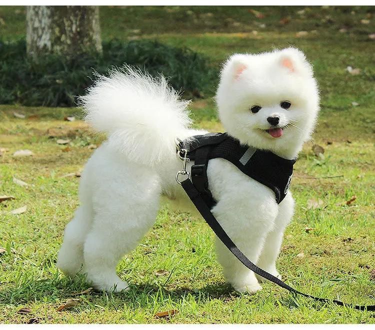 2021 OEM Dog Harnesses, Soft Mesh Neoprene Chest Strap Suit Harness with Leash Rope Set