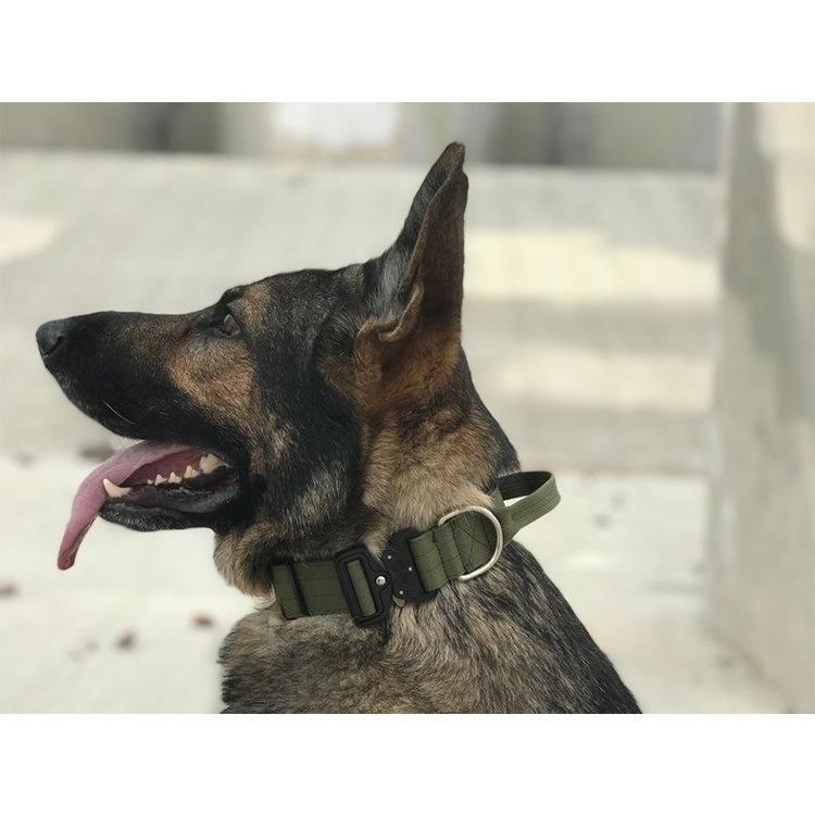 1.5" Heavy Duty Tactical Combat Dog Collar for Bully Dogs
