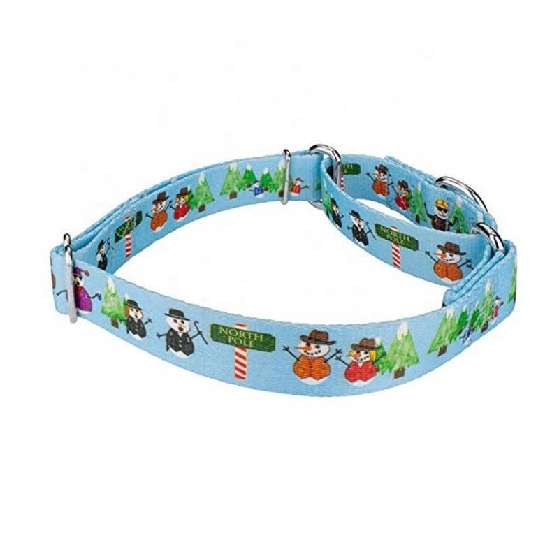 Wholesale Anti-Door Durable Pet Product Pet Dog Collar