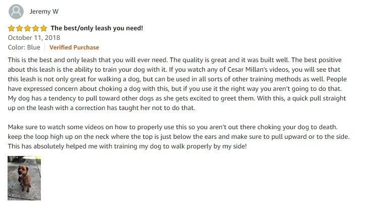 Extremely Durable Dog Slip Rope Leash Dog Leash