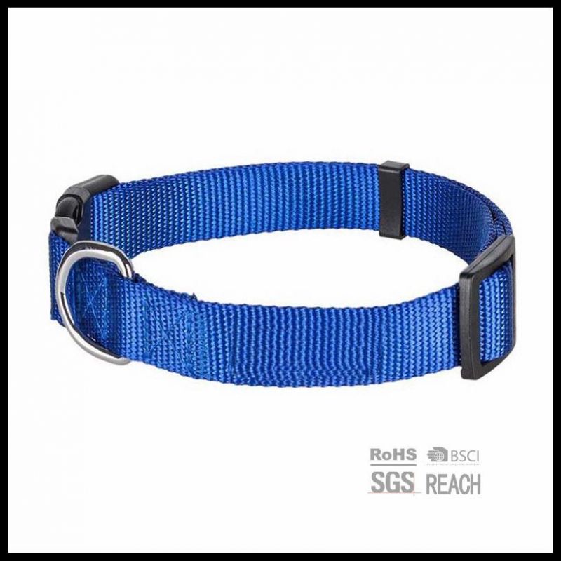 Pet Supply Products Accesories Martingale Blue Nylon Dog Traning Collar