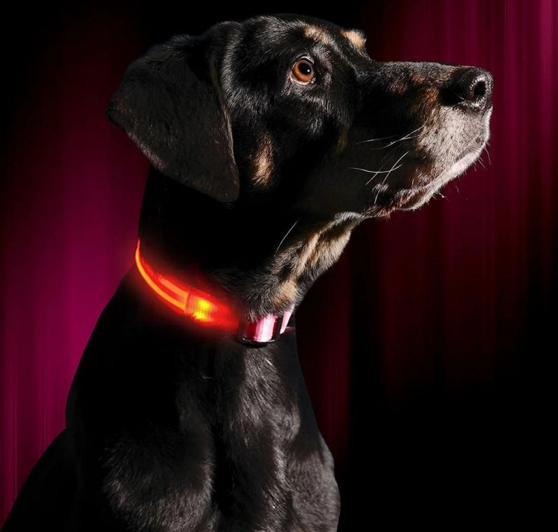 LED Dog Collar with USB Rechargeable Battery, Lightweight, Sturdy & Durable Materials