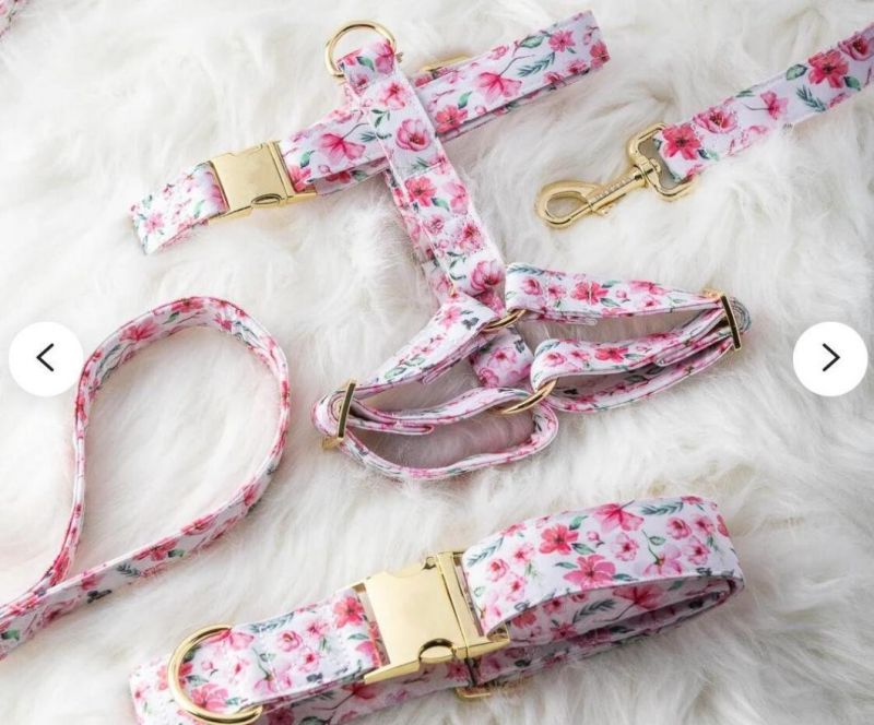 Rosie Bundle Leash Best Seller Pet Collar and Leash Set